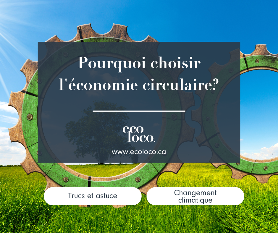 Économie circulaire et fabrication de sac multiusage